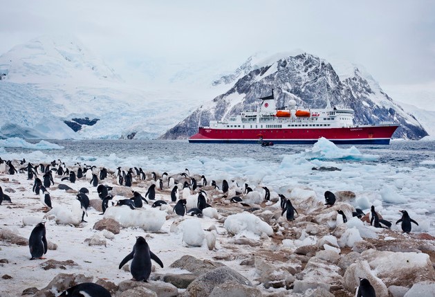 Frozen Frontiers: Polar Adventure Tours for Brave Explorers